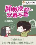 宠不停免费阅读