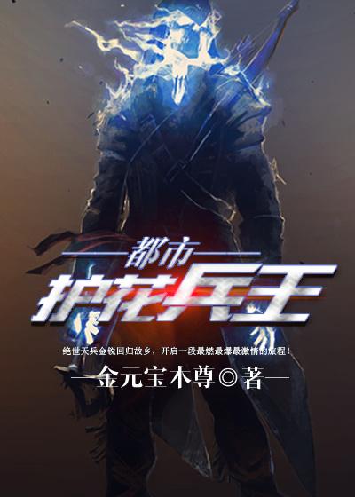 都市护花兵王 金元宝本尊几几年写的
