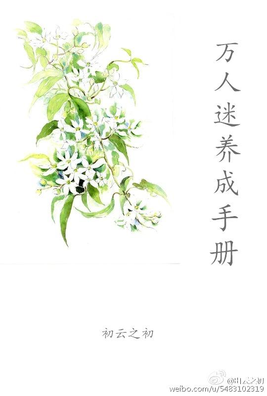 万人迷养成手册txt