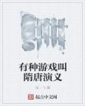 隋唐演义有意思吗