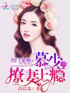 名门婚宠权少撩妻上隐