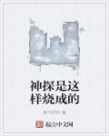 神探的真实故事