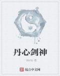 丹剑15分钟教学视频