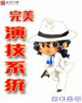 完美系统