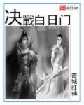 决战白日门假人版