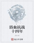 电视剧浴血抗战十四年