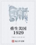 重生美国1928