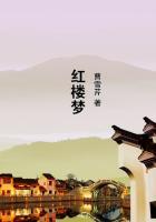 红楼梦贾府人物关系图