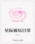 星际 po