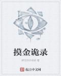 摸金奇录免费阅读