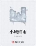 小城细雨大结局