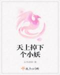 天上掉下小妖女免费阅读