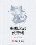 海贼之开局无敌系统