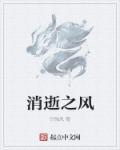 消逝搭配