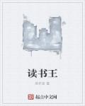 读书王安石诗歌