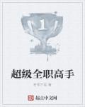 全 职高手