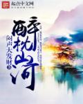 醉枕山河这个皇子是老六