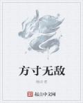 方寸什么什么
