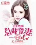 宠久必婚总裁追妻有方 一袖云