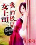 极品女士第一季 电视剧免费