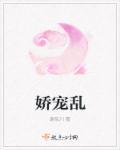 娇宠乱宋婢全文免费阅读