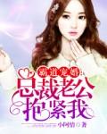 总裁老公抱紧我全文免费阅读零度爱