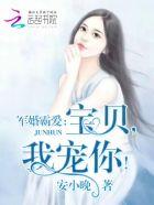 军婚霸道宝贝我宠你