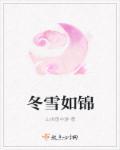 冬雪如锦好看吗