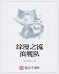 深空之流浪舰队百科