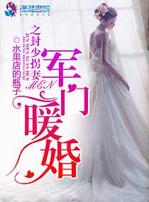 军门暖婚之封少拐妻讲的啥