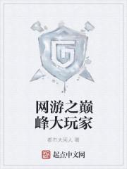 网游之巅峰之战