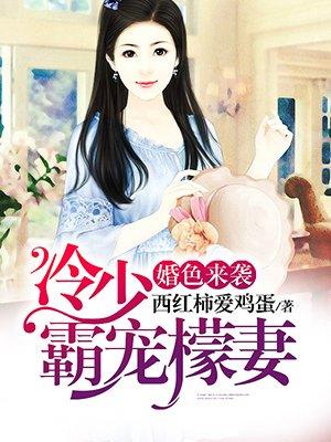 冷婚霸爱全文免费阅读