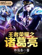 王者荣耀之诸葛亮和诸葛果
