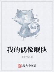 我的偶像6