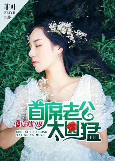 闪婚萌妻高冷首席no1