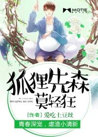狐狸先生是什么意思