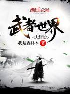 武侠世界大冒险 优书