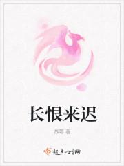 长恨来迟大概内容