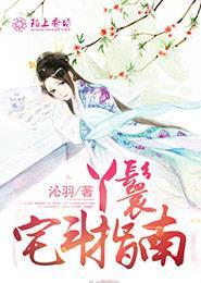 丫鬟宅斗指南数据