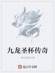 圣杯传奇礼包码