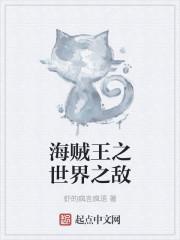 海贼王之世界的歌