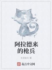 阿拉德之怒步枪弹药