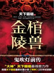 鬼吹灯金棺陵兽