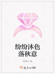 纷纷落尽暮色里txt