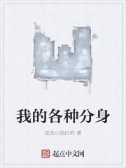 有各种分身的
