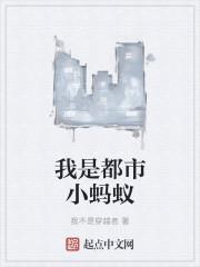 都市蚂蚁车多少钱