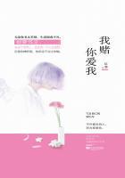 我赌你爱我全文