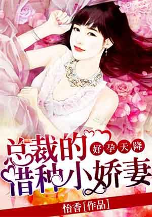 总裁借个娃无弹窗