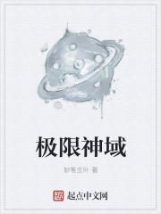 极限神域动画全集在线看