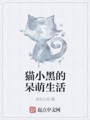 小黑猫咪图片
